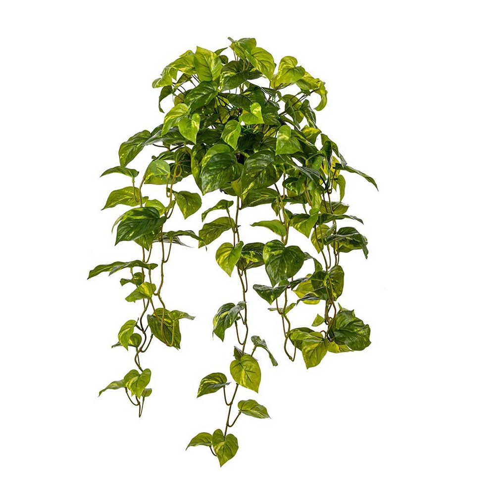 Mr Plant Gullranka konstväxt 70 cm