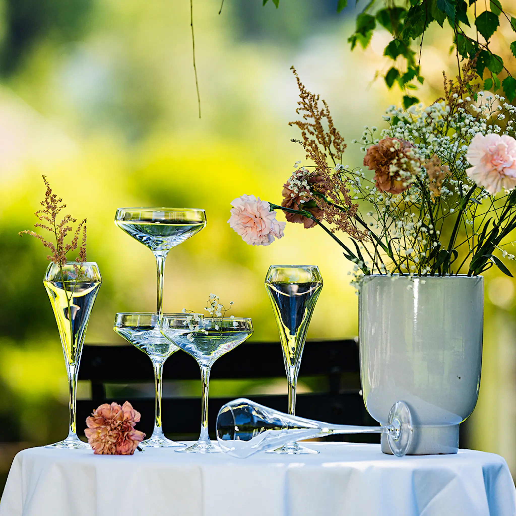 Chef & Sommelier Open Up Samppanjalasi Coupe 30 cl 6 kpl