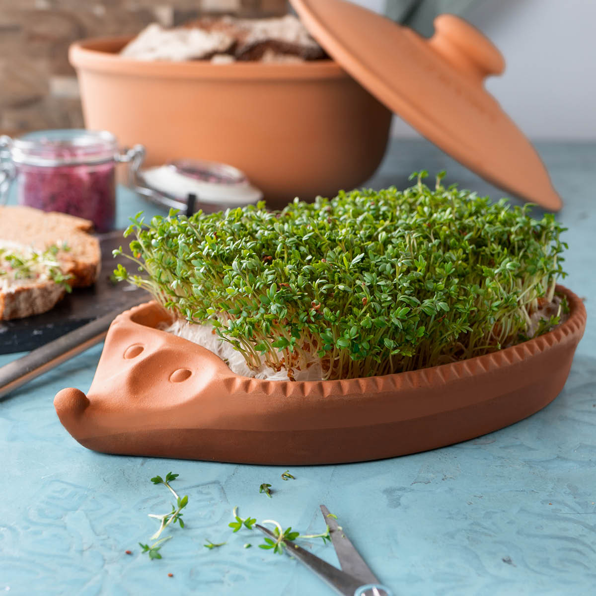 Römertopf Groddkruka i keramik 25x16 cm