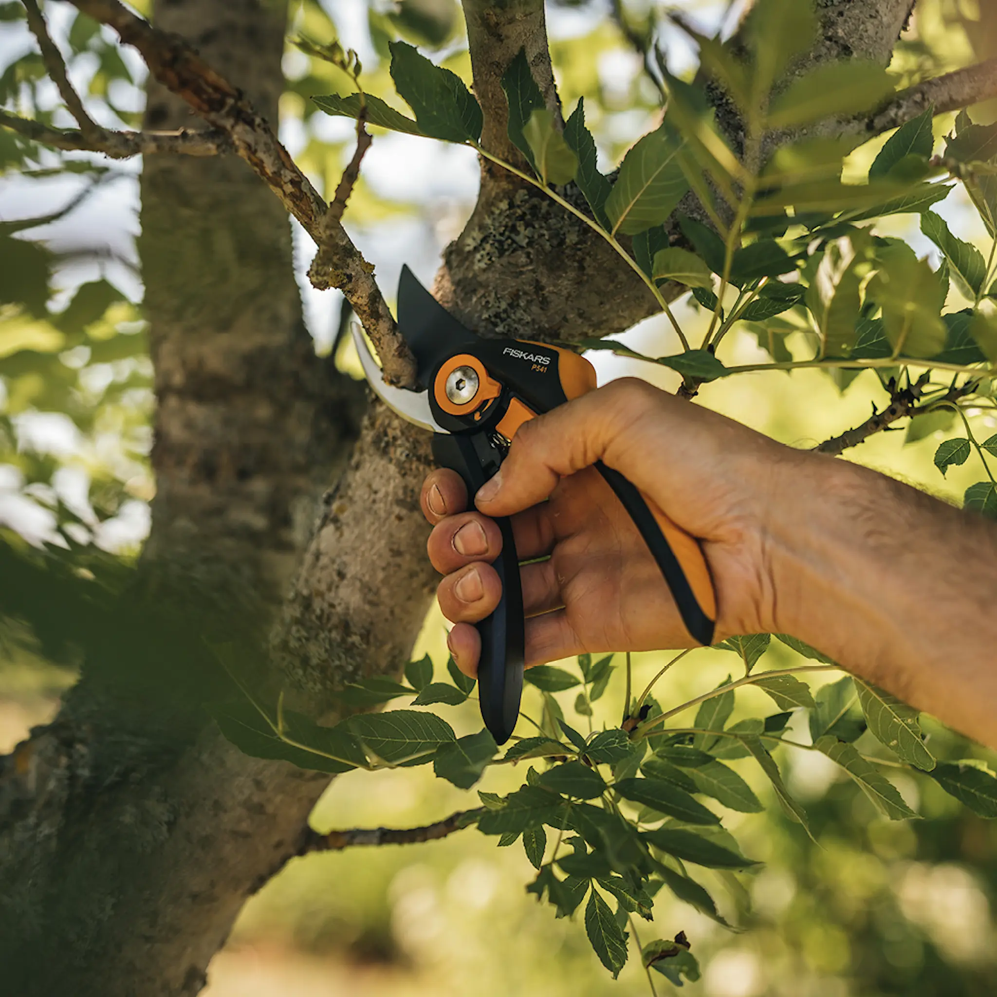Fiskars Plus™ sekatör P541 21 cm svart/orange