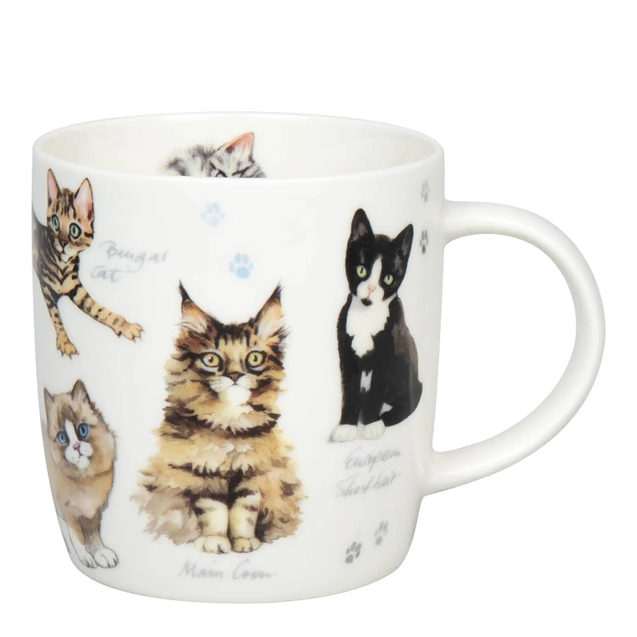 Könitz Muki 40 cl Cats