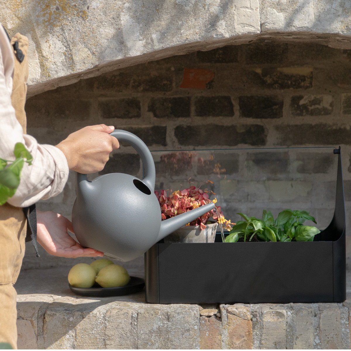 Eva Solo Simply Grow Miniväxthus 20x42x32 cm svart