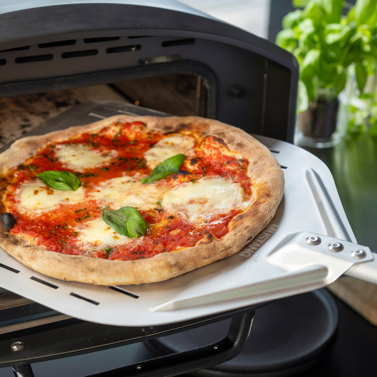 Mustang Astroni 14 Pizzauuni