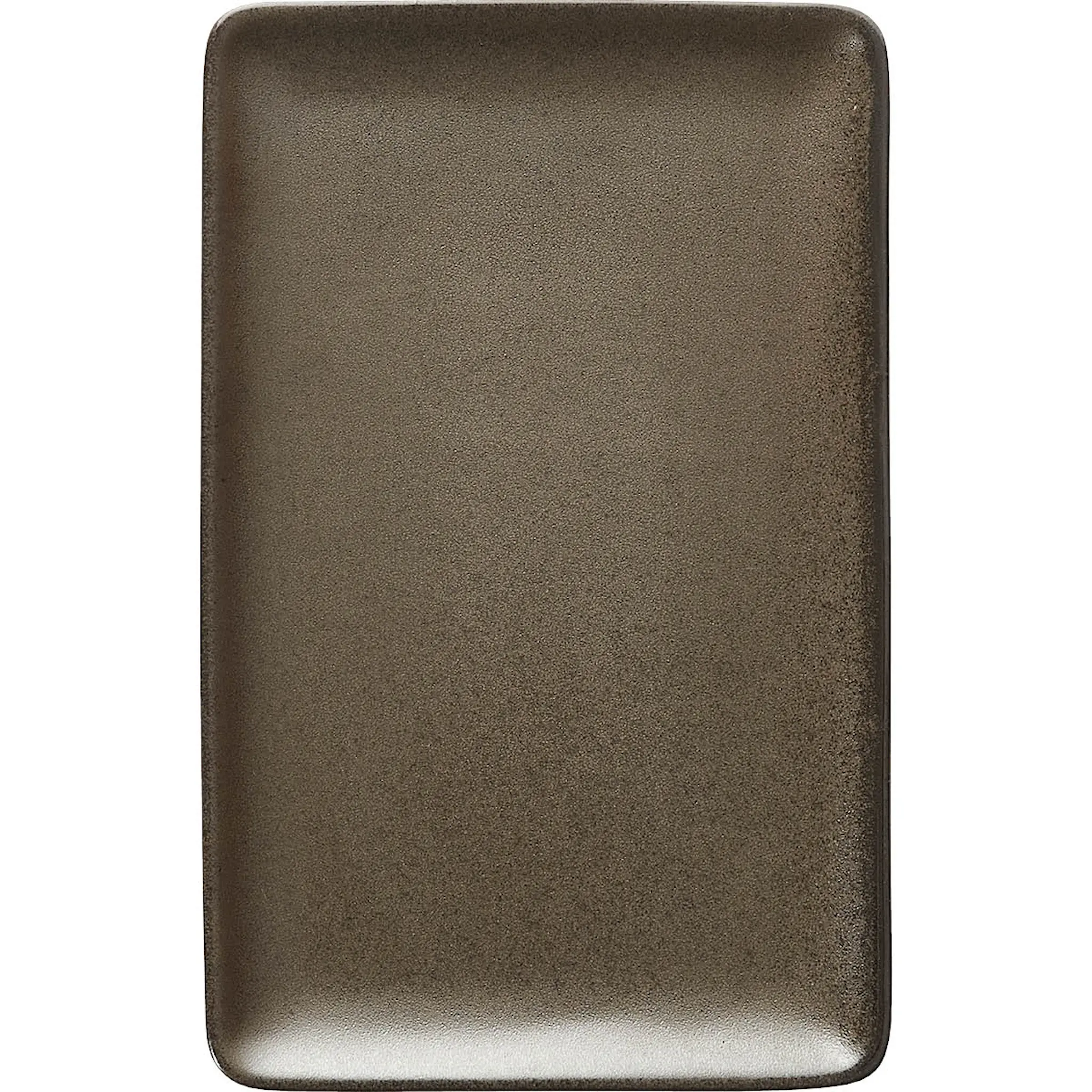 Aida Raw Tallrik rektangulär 23,5x15 cm Brun Metallic
