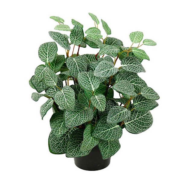 Fittonia konstgjord krukväxt 34 cm grön