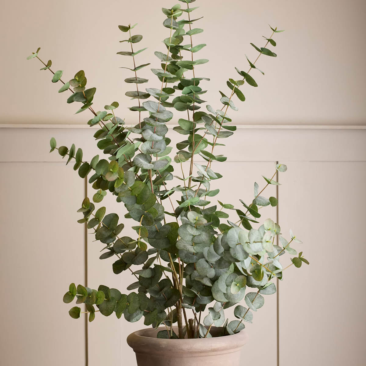 Mr Plant Eukalyptus kunstig plante 110 cm