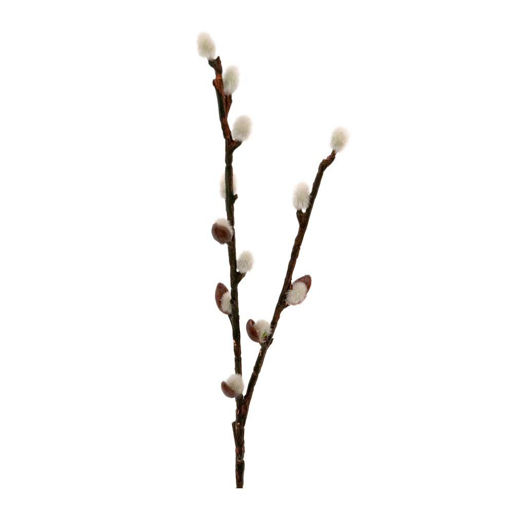 Mr Plant - Tekokukka Pajunoksa 36 cm Vihreä