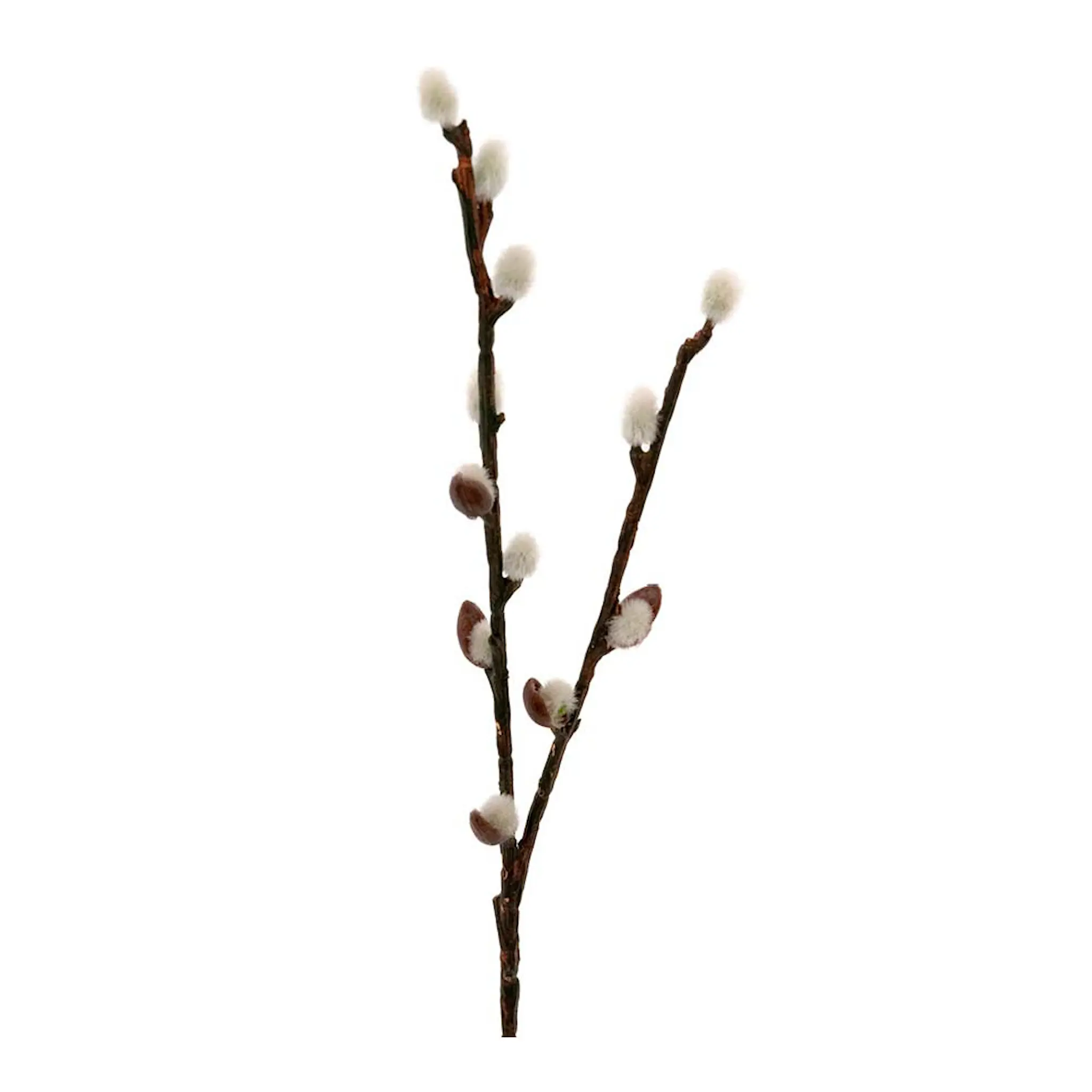 Mr Plant Vide 36 cm grön