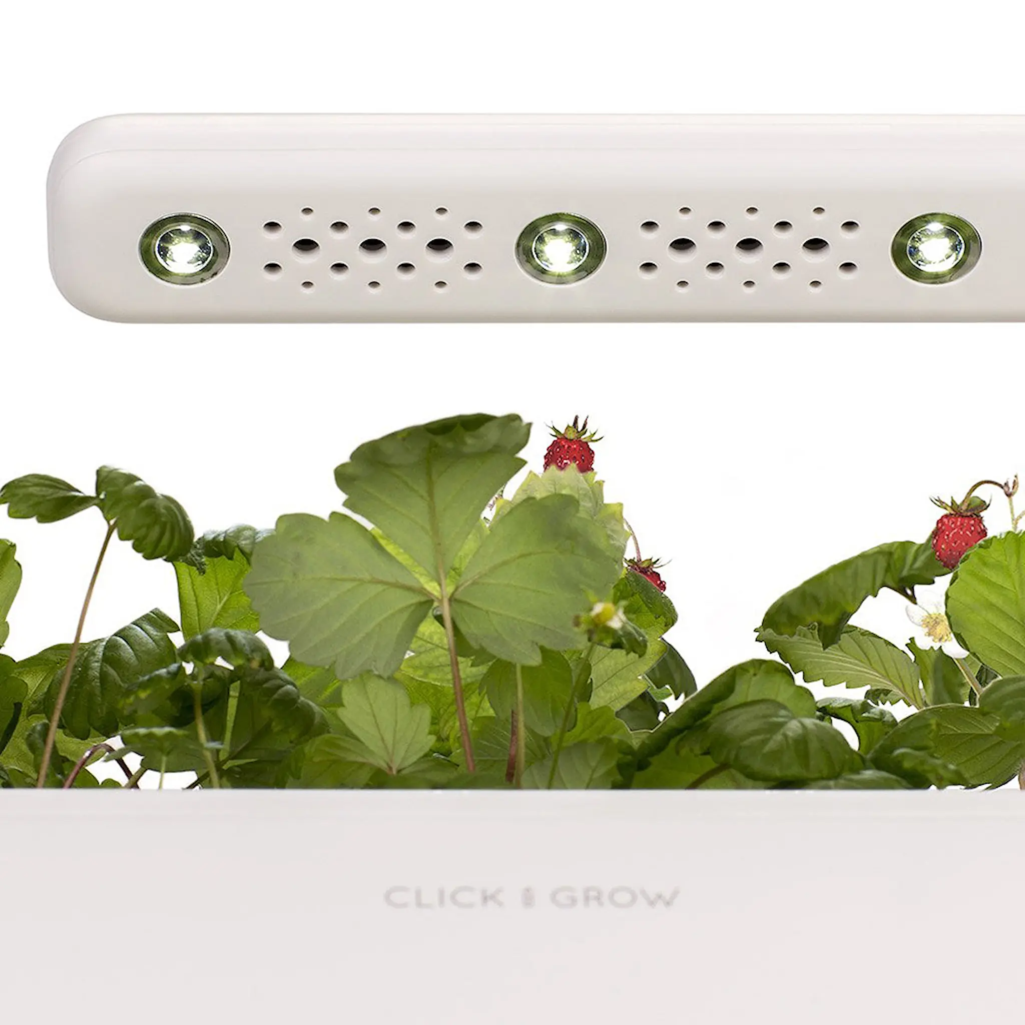 Click & Grow Smart Garden 3 startpaket vit