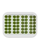 Berså rektangulär bricka 27x20 cm grön