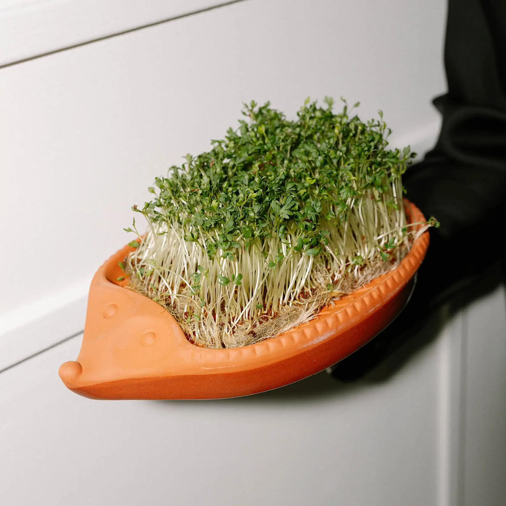 Römertopf Groddkruka i keramik 25x16 cm