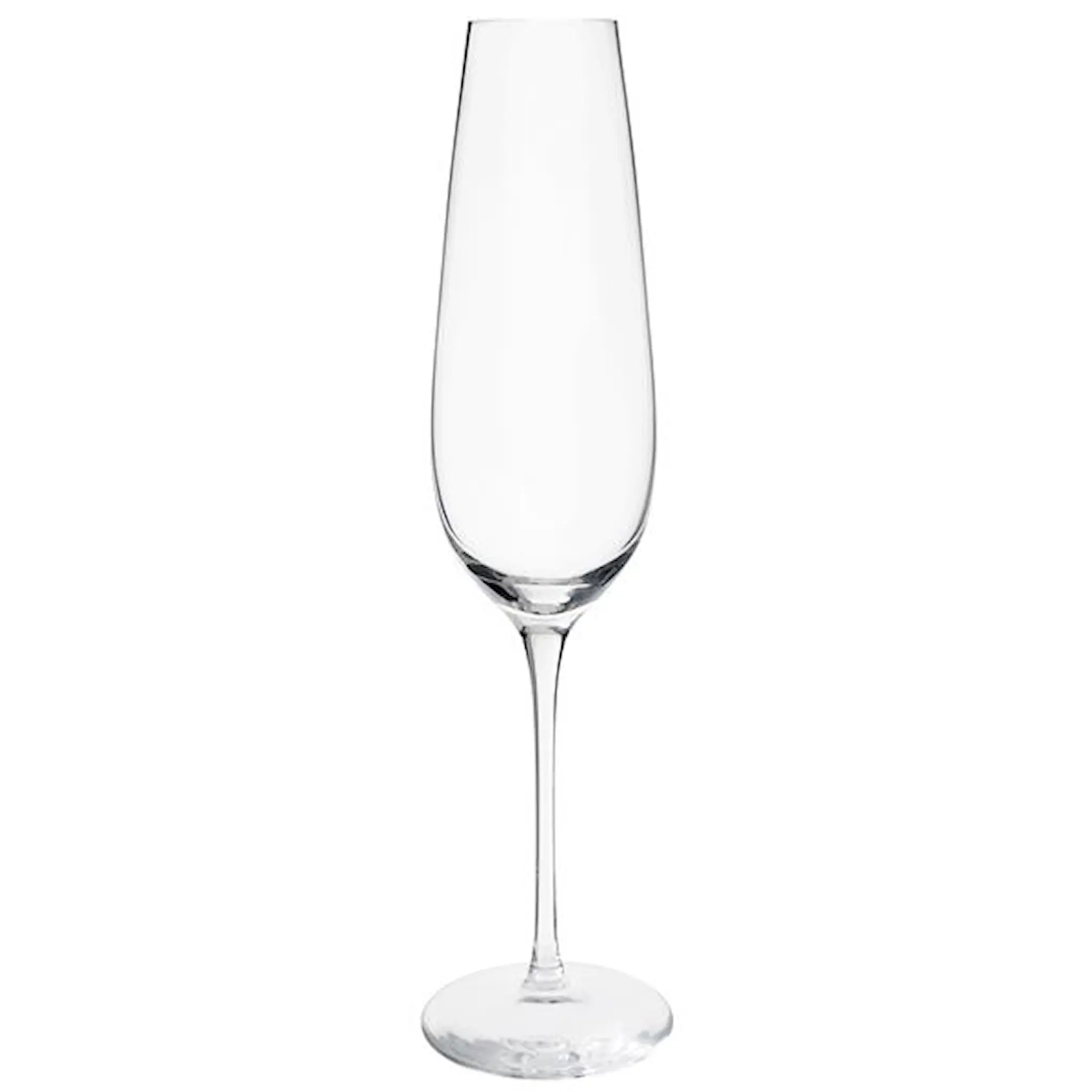 Magnor Amore champagneglas Slät 30 cl Klar