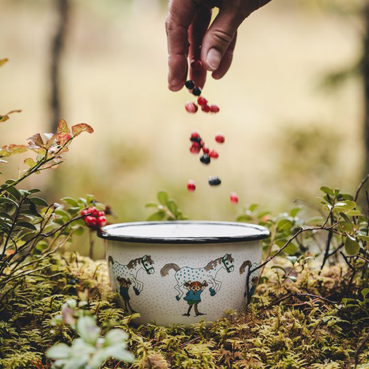 Muurla Pippi emaljskål lilla gubben 6 dl