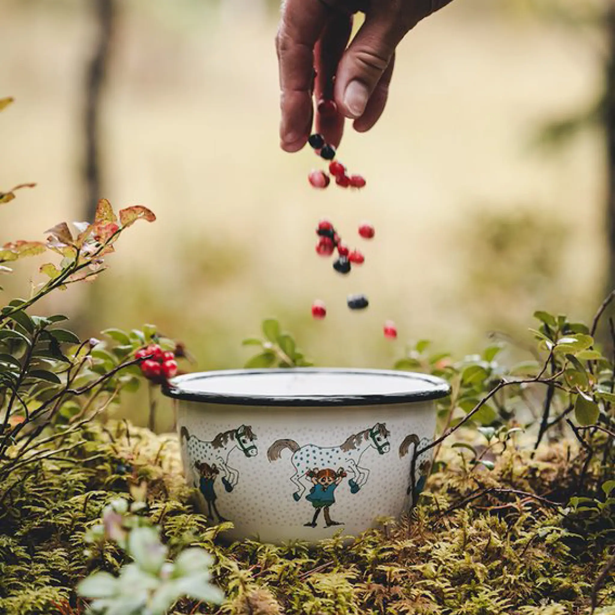 Muurla Pippi emaljskål lilla gubben 6 dl