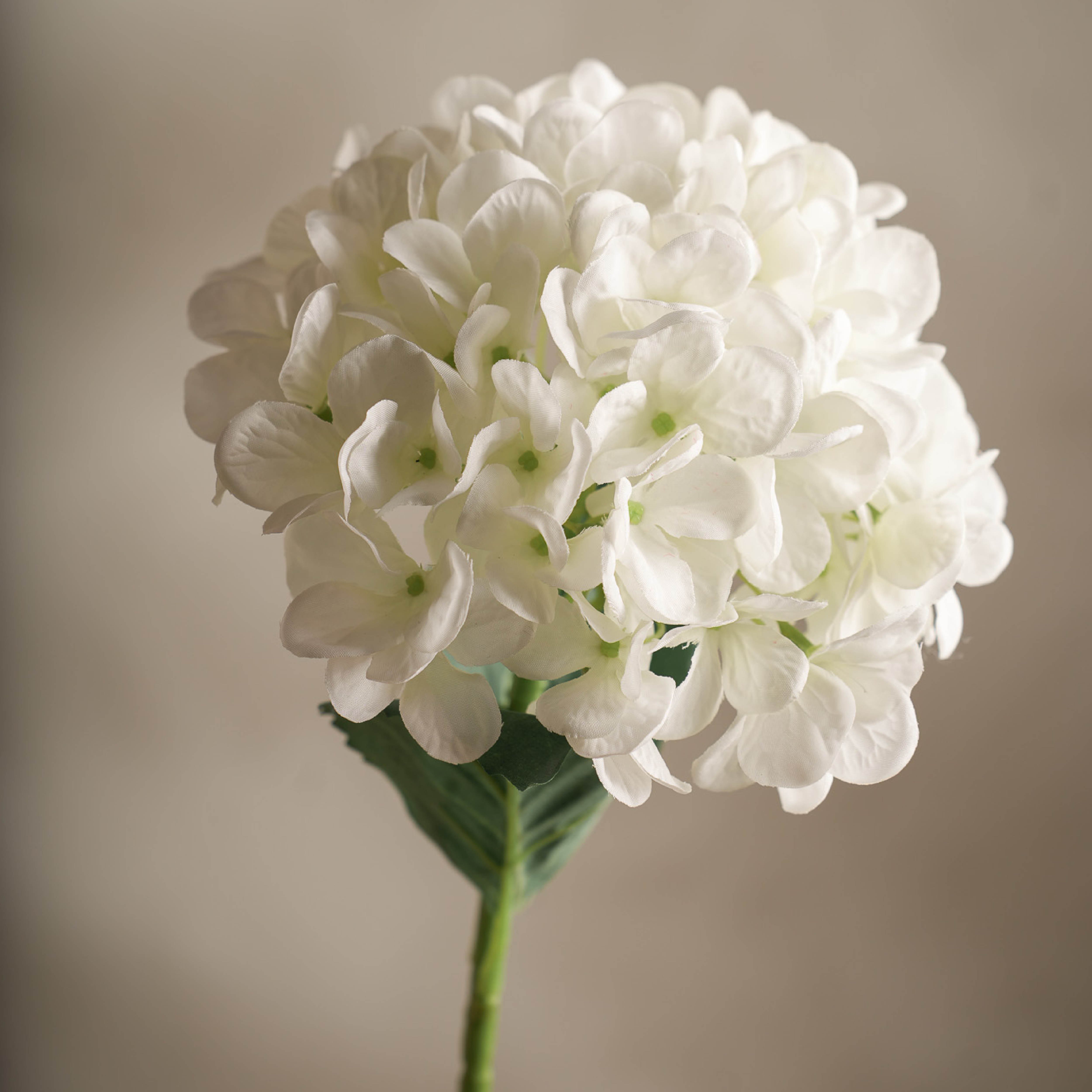 Mr Plant Hortensia keinotekoinen leikkokukka 48 cm valkoinen