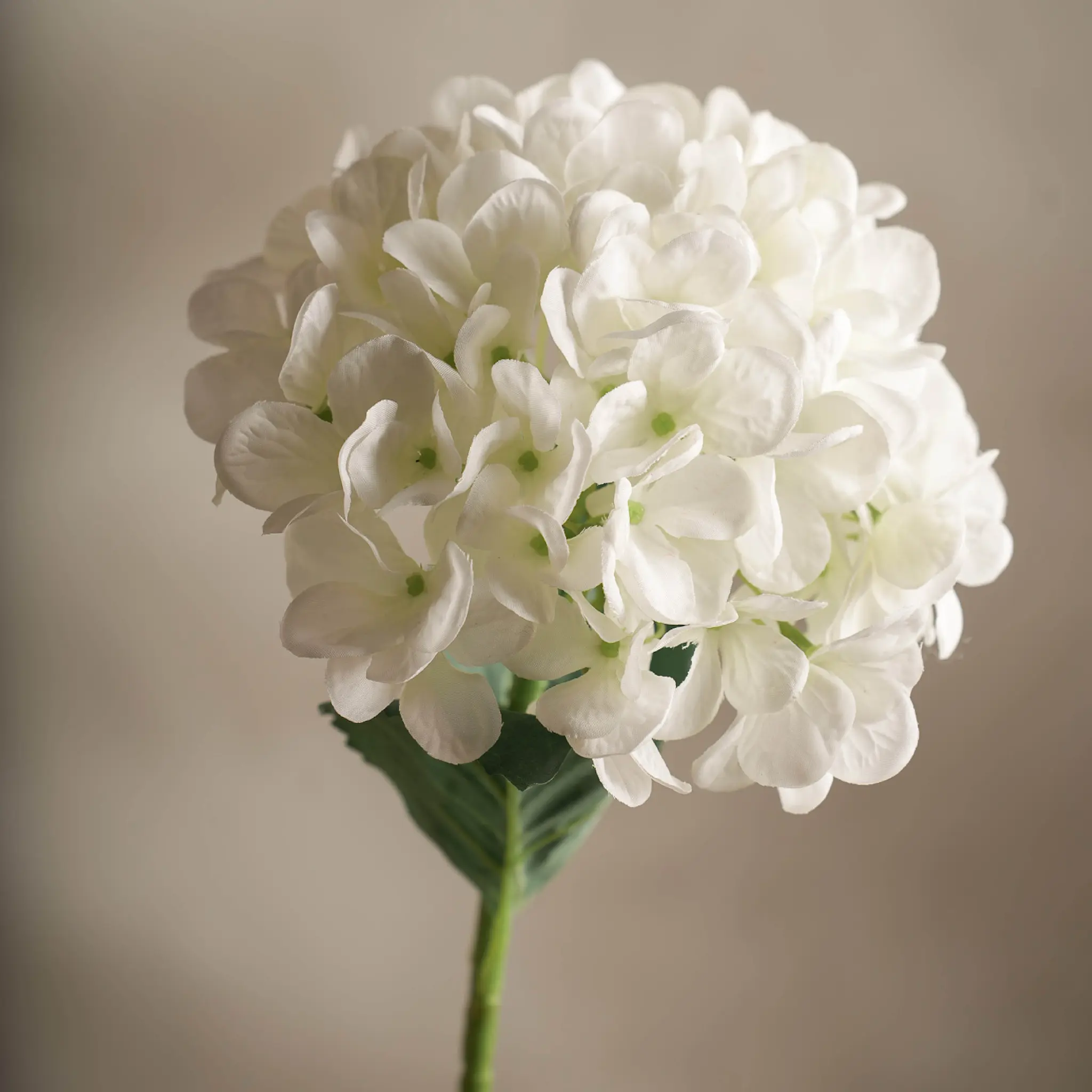 Mr Plant Hortensia keinotekoinen leikkokukka 48 cm valkoinen