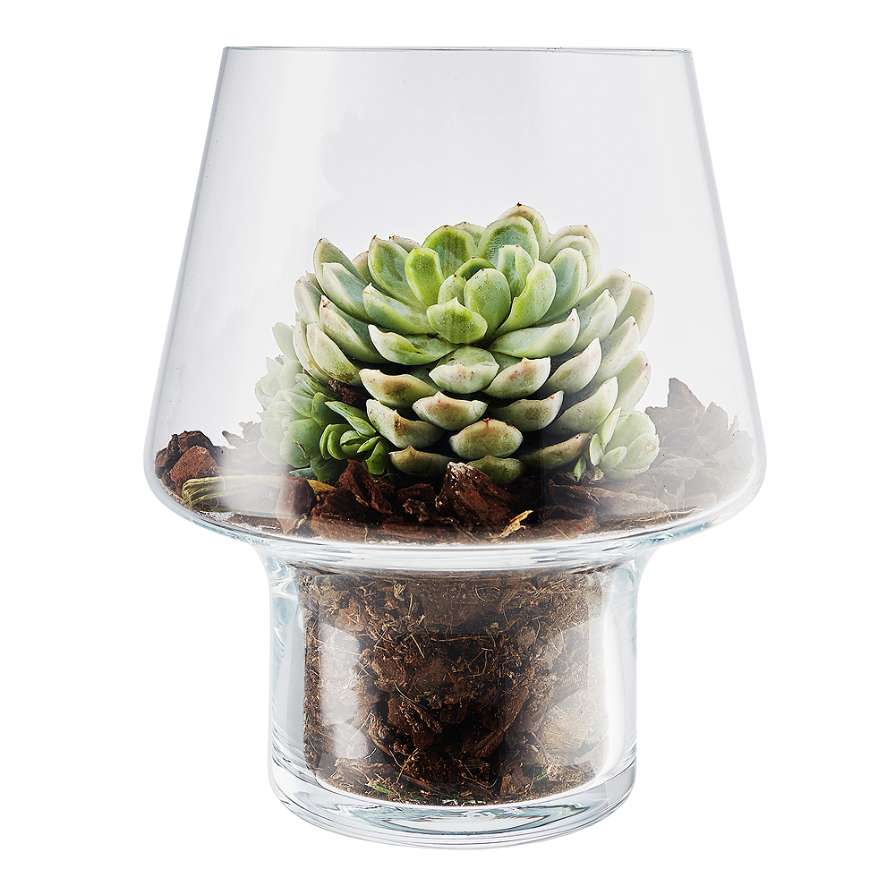 Eva Solo Vas för suckulenter 15 cm