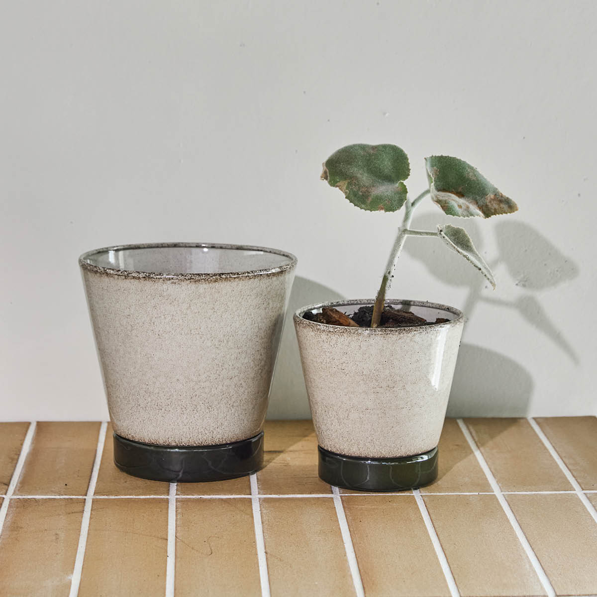 House Doctor Lima blomsterpotte 2 stk beige/grønn