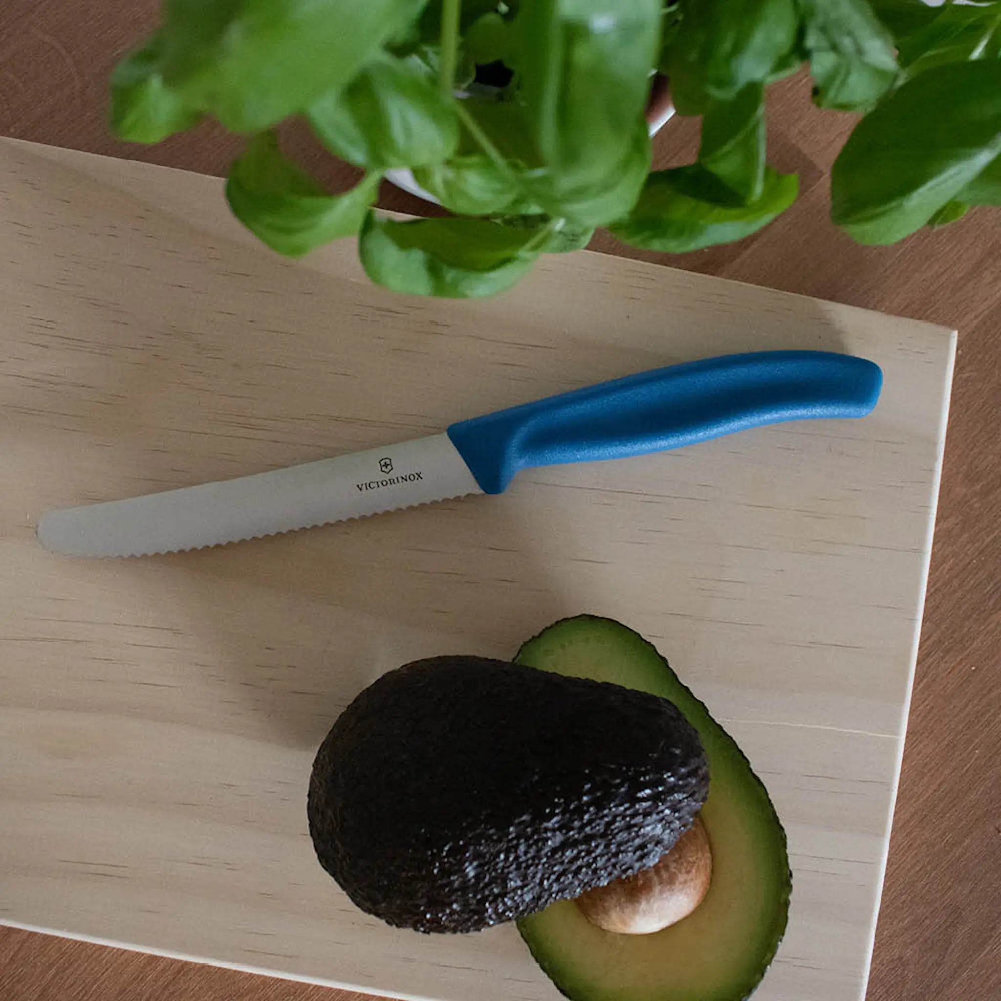 Victorinox Swiss Classic tomatkniv 11 cm blå