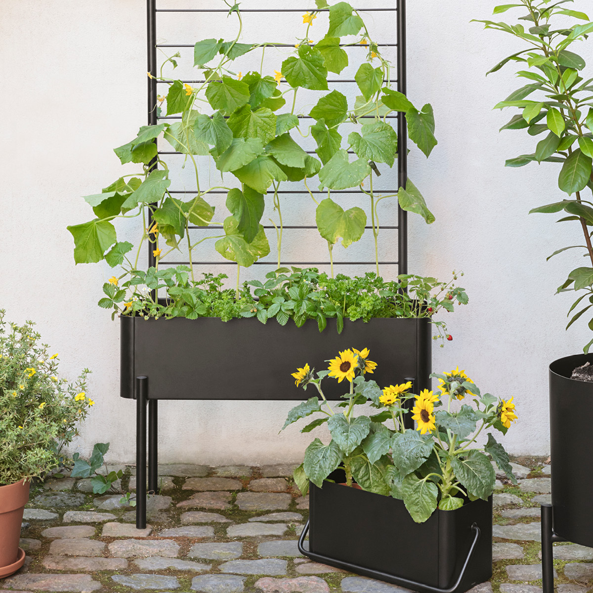 Eva Solo Simply Grow Odlingslåda 33x80x53 cm svart