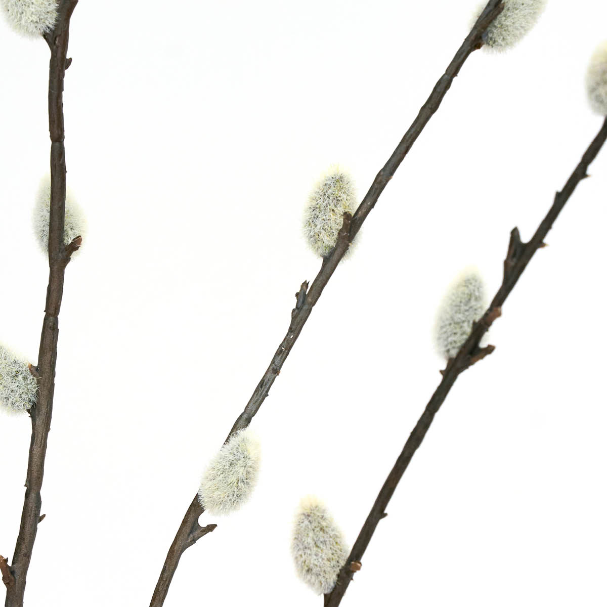 House Doctor Leaves Tekokukka Pajunoksa 12x95 cm Vihreä