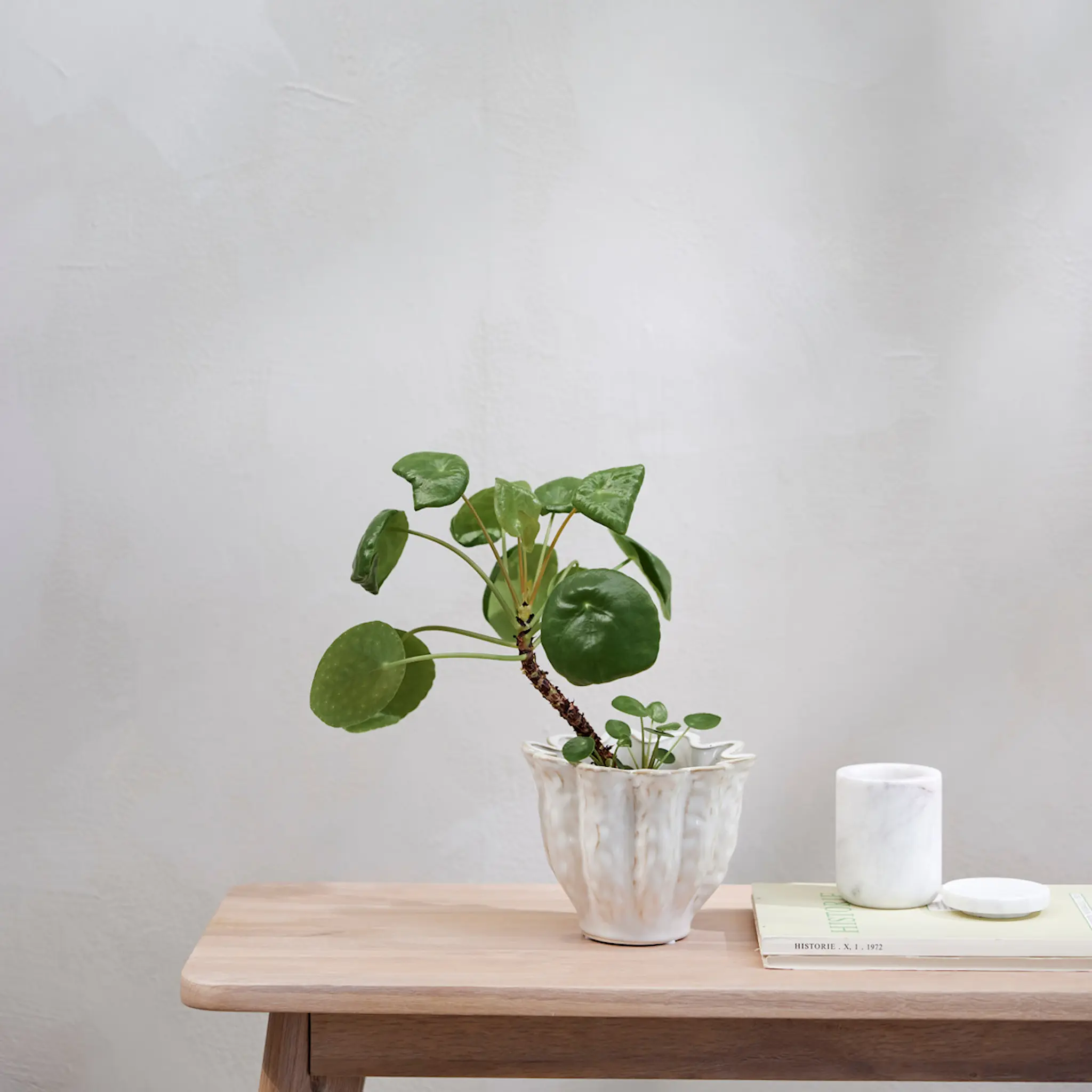 Lene Bjerre Vielle kruka 11,5x14 cm benvit