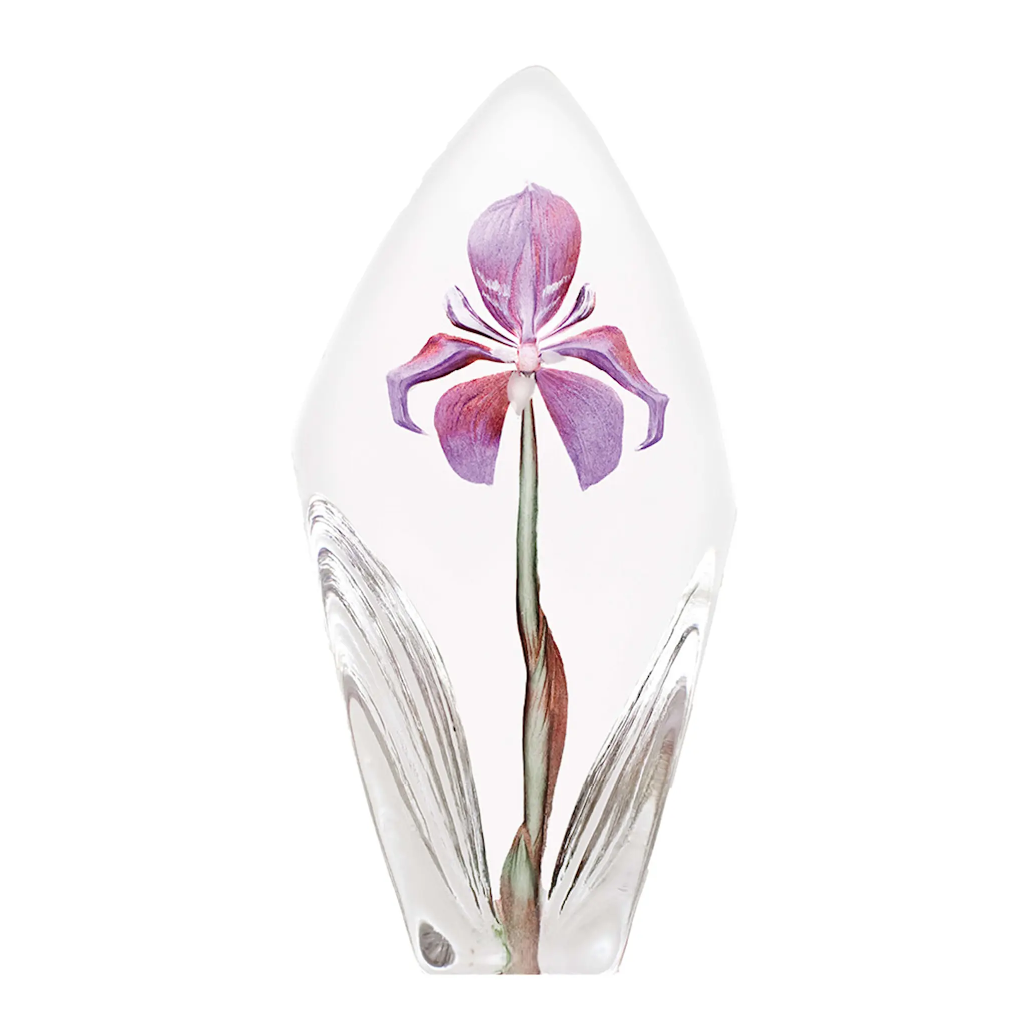 Målerås Floral Fantasy Acarena Skulptur 19 cm Lila