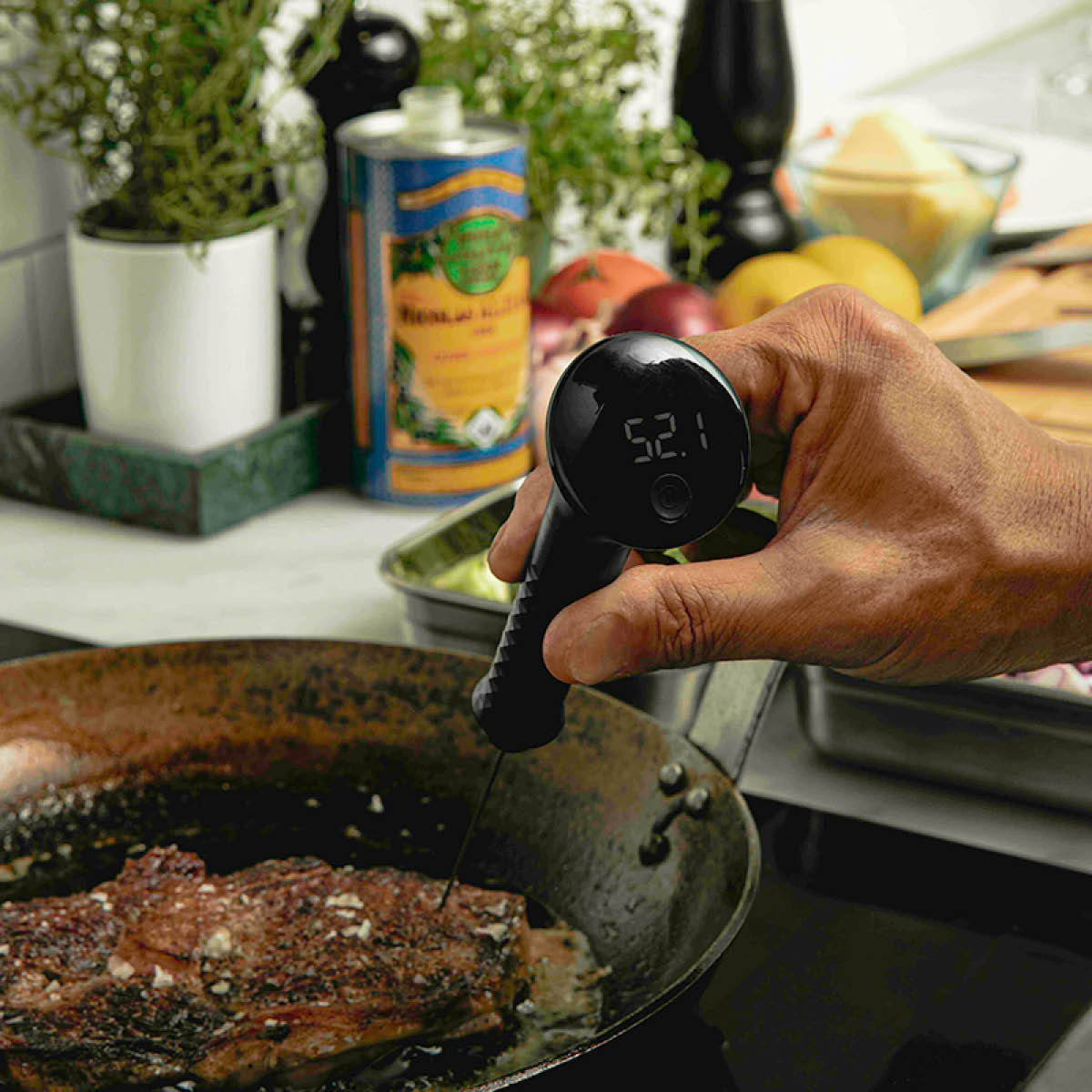 Professional Secrets Termometer 22,9 cm