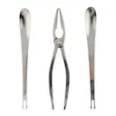 Skaldjursset med gaffel och tång 3 delar stål