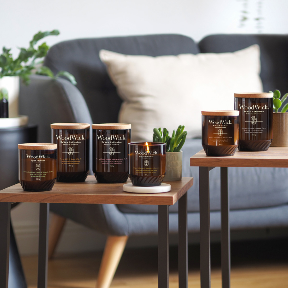 WoodWick Renew Tuoksukynttilä 9,7x7,9 cm Lavender & cypress