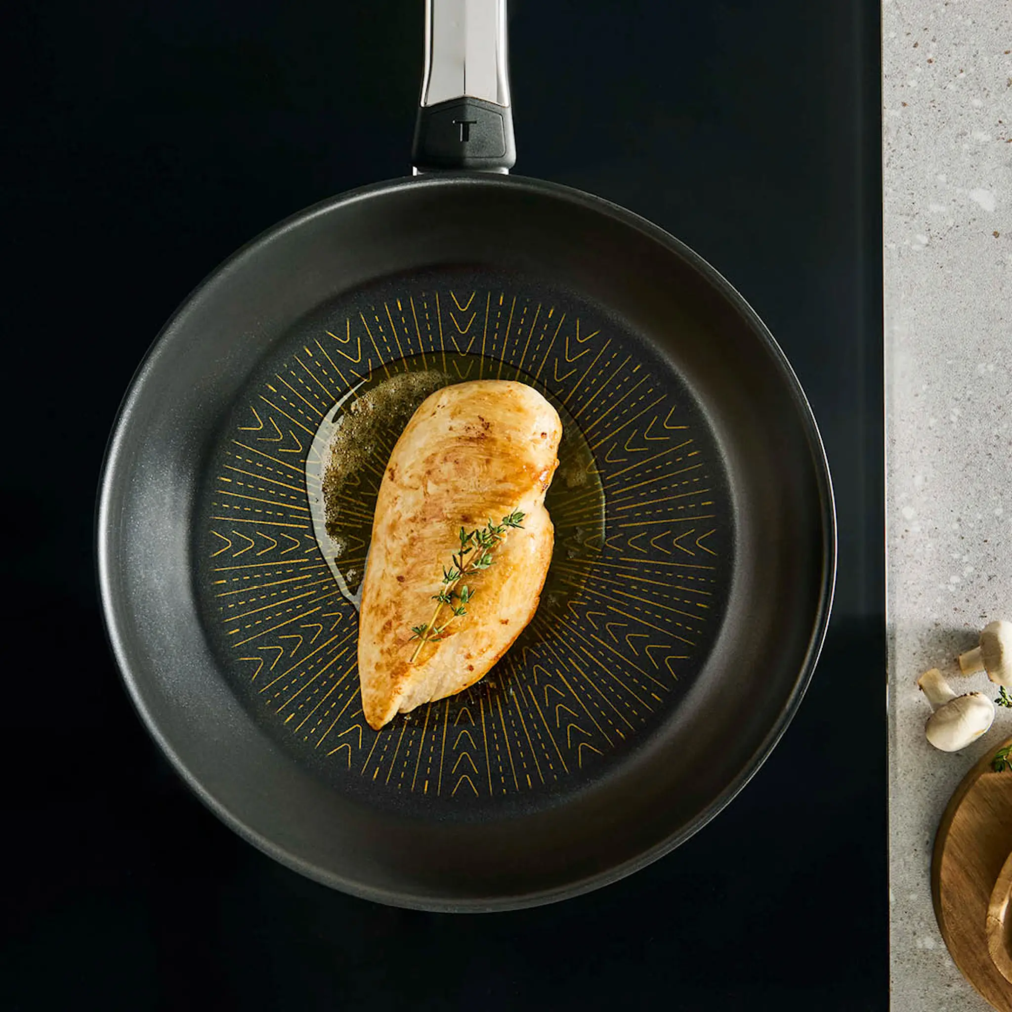 Tefal Emotion Plus Flavors SS stekpanna 24 cm
