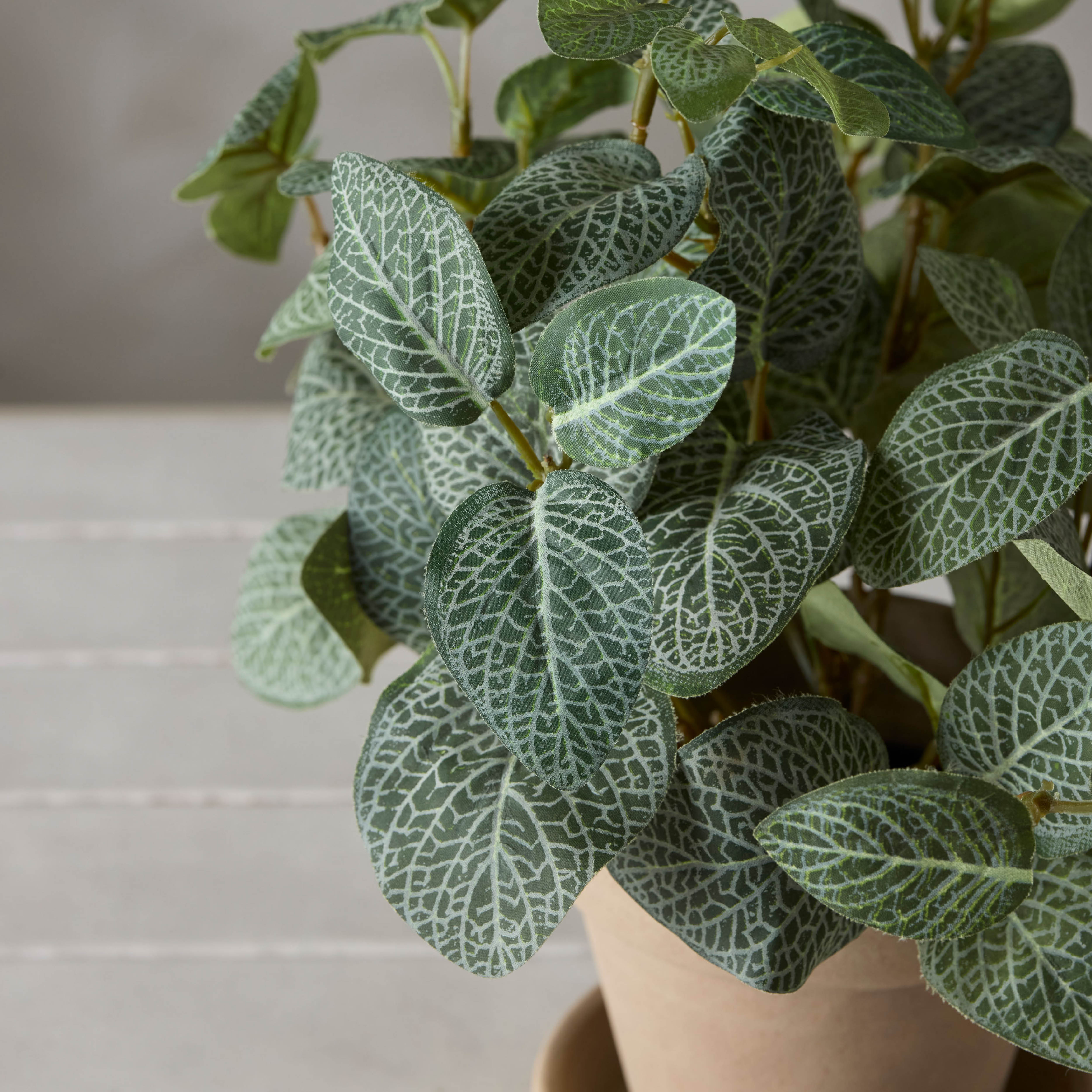 Mr Plant Fittonia kunstig potteplante 34 cm grønn