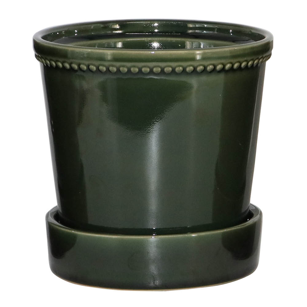 Edelweiss - Karmen ruukku aluslautasella 13,6 cm forest green