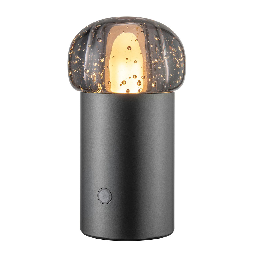 Blomus Iris LED-lampa 18 cm gun metal