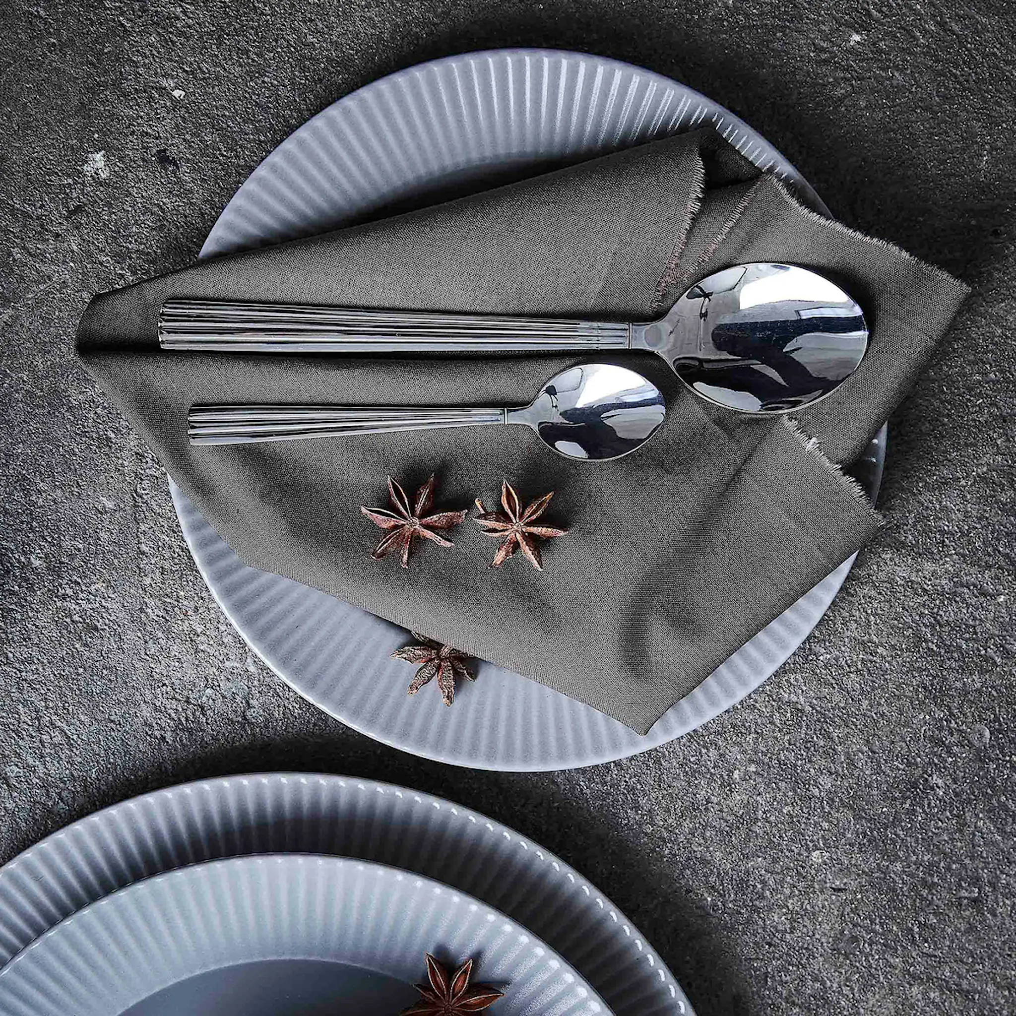 Aida Groovy skje 4 stk polert hover