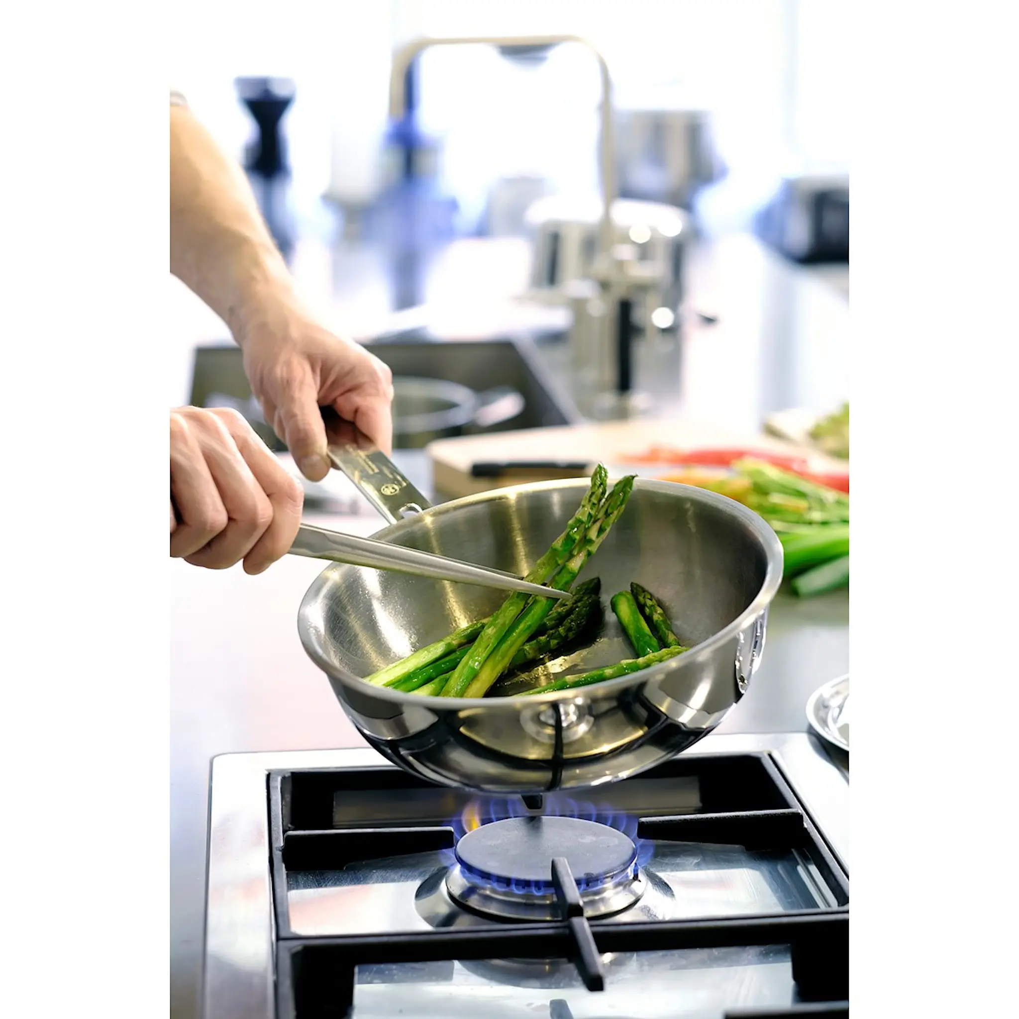 Professional Secrets Sauteuse 24 cm