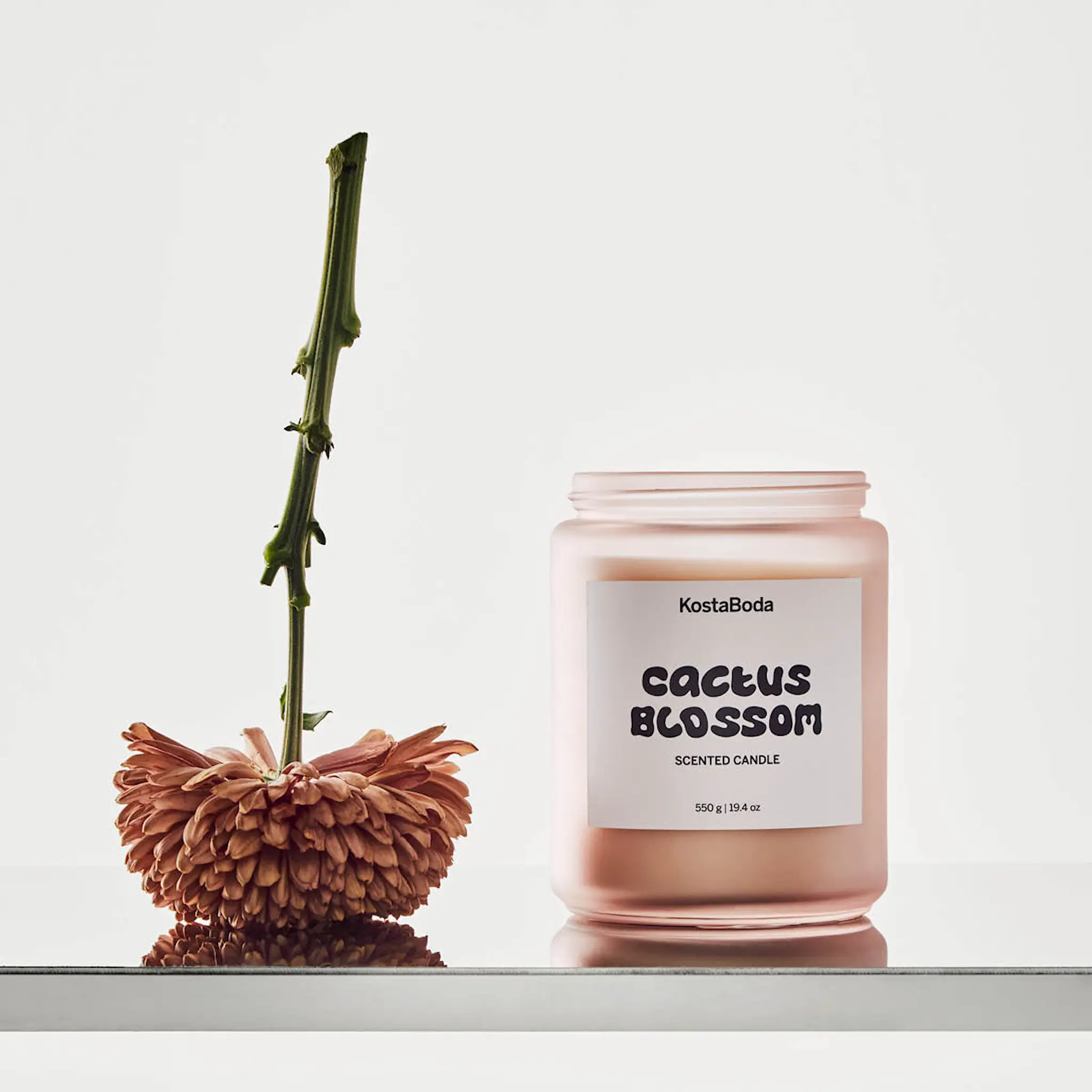 Kosta Boda Mind Tuoksukynttilä 13 cm Cactus Blossom
