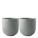 Legio Nova kopp 34 cl utan öra 2-pack sage