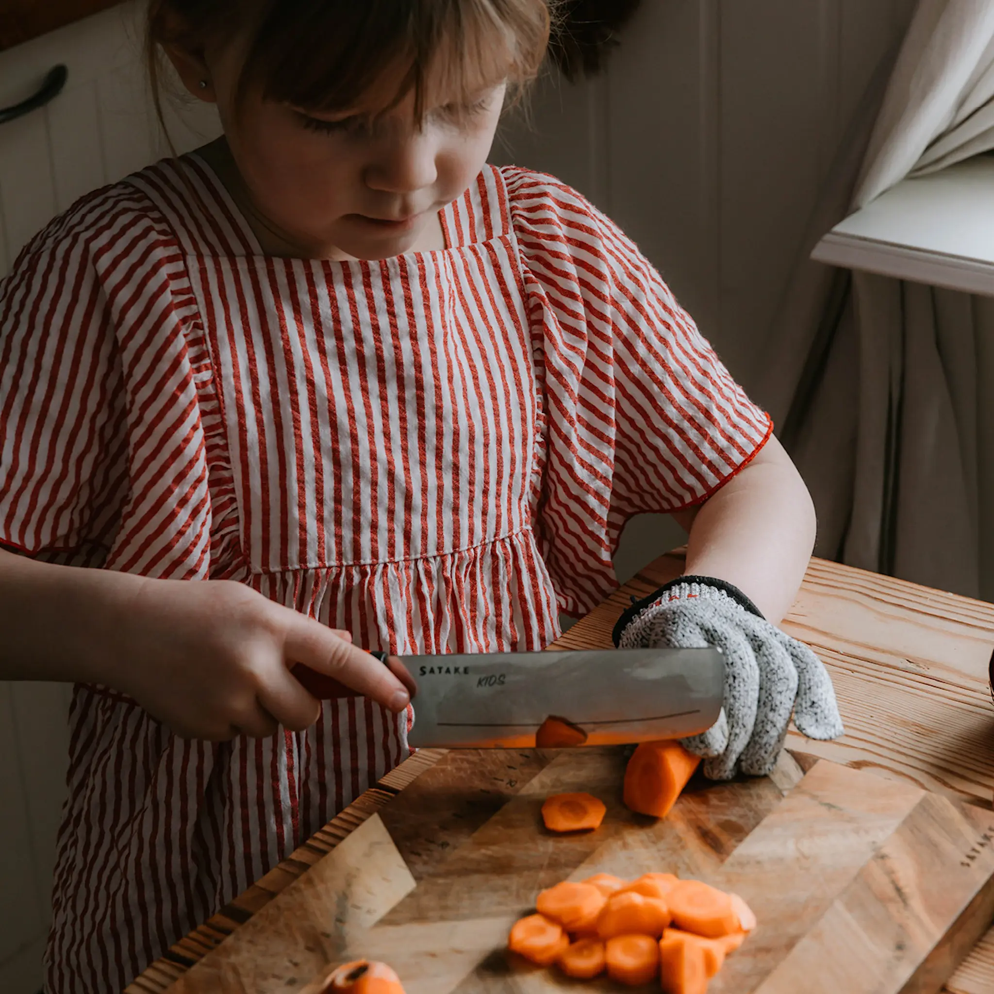 Satake Houcho Lastensetti