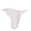 Silduk polyester