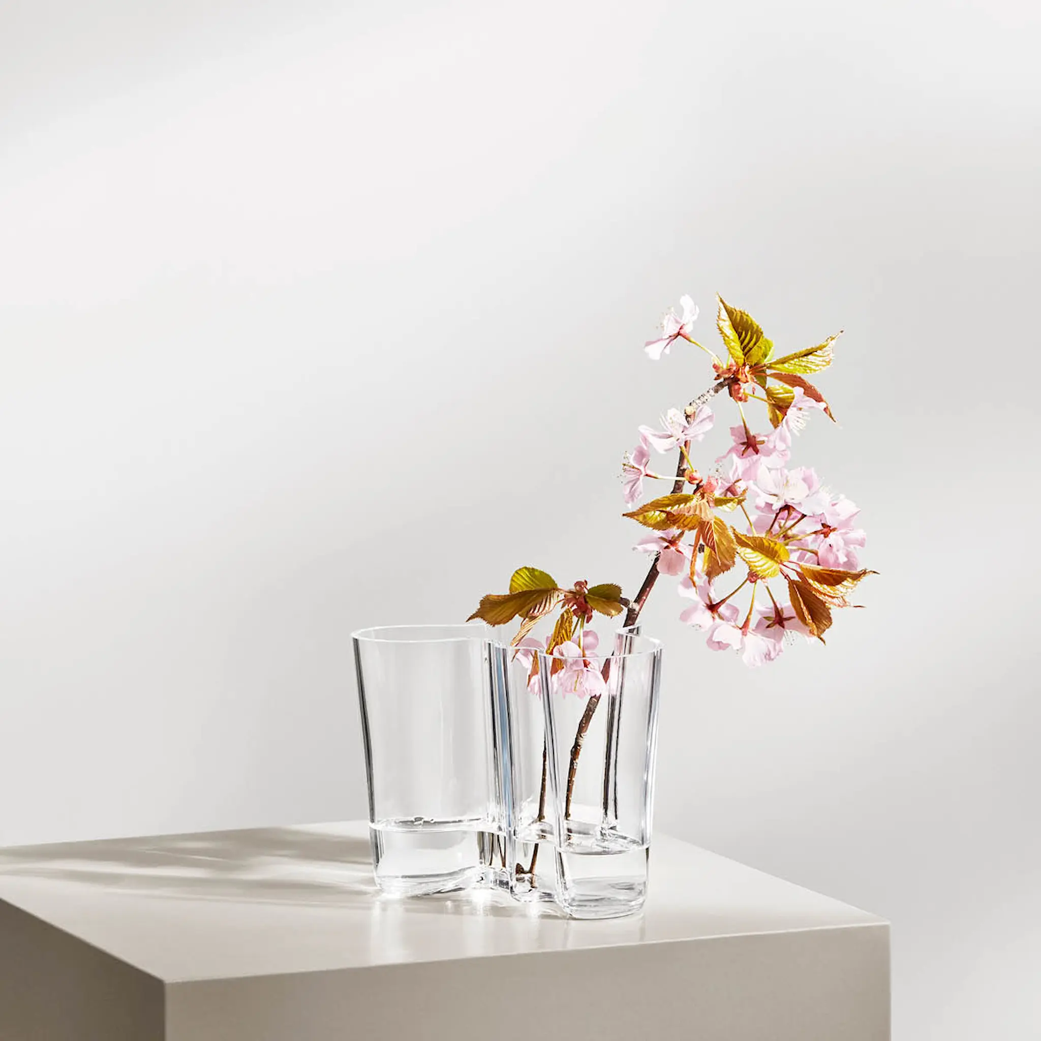 iittala Alvar Aalto Collection Vas 16 cm Klar