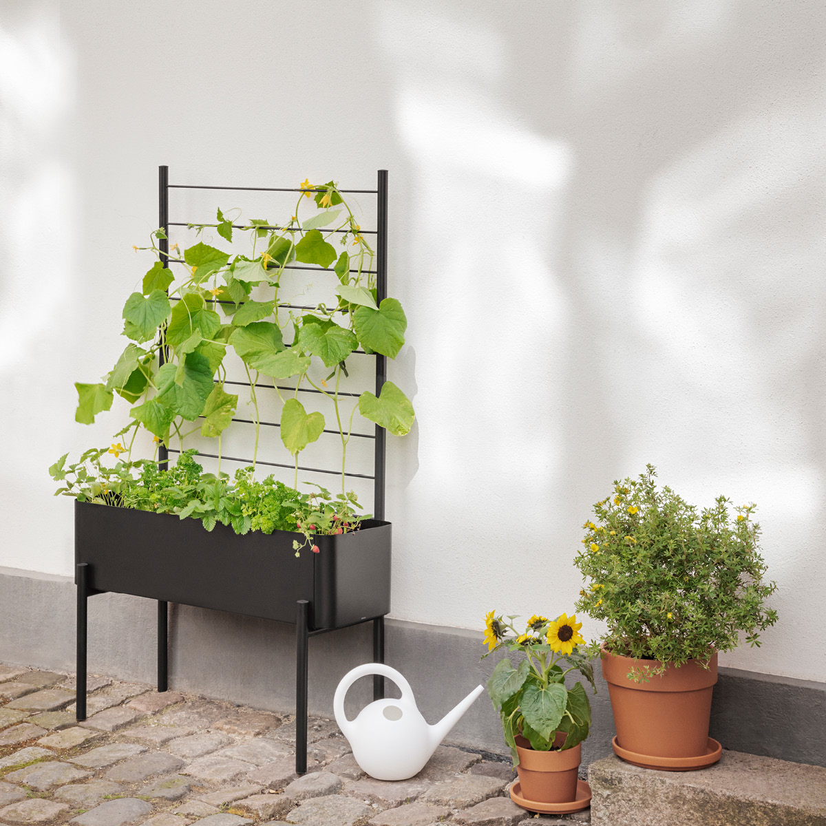 Eva Solo Simply Grow Odlingslåda 33x80x53 cm svart