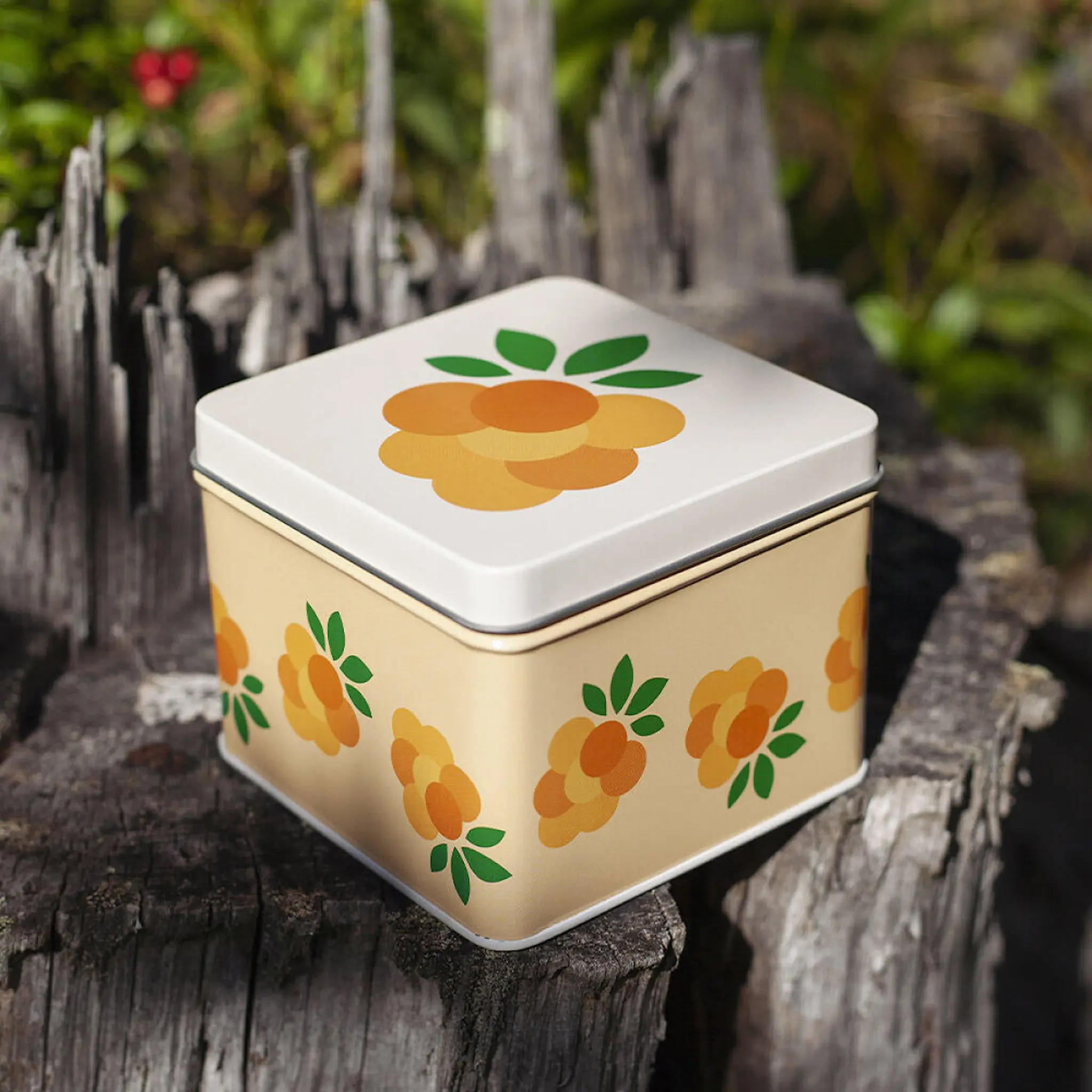 Blafre Eväsrasia Lakka 8x10 cm Keltainen