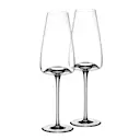 Vision Rich Vinglas 2-pack