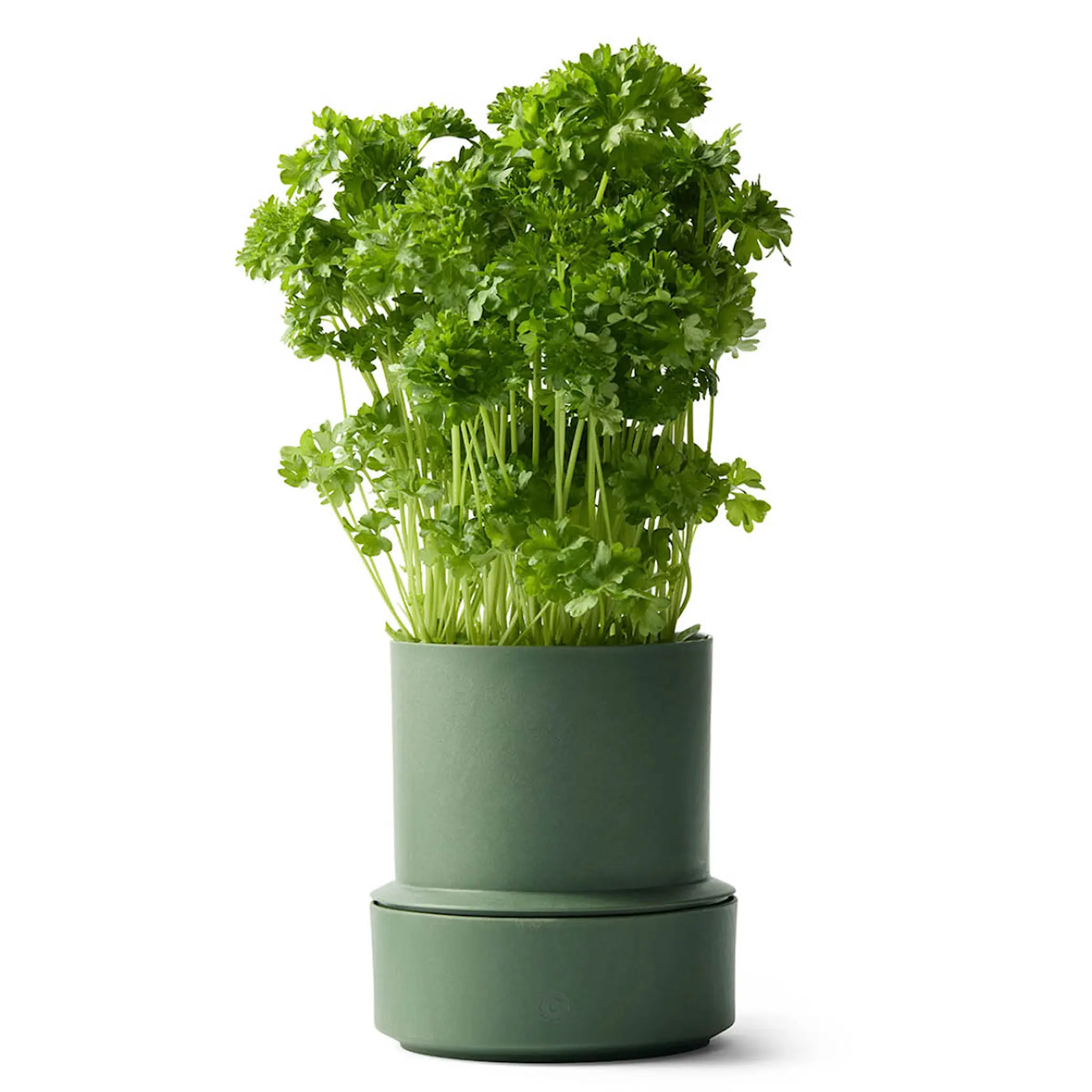 CrushGrind Billund Itsekasteleva yrttiruukku 14x12 cm Parsley
