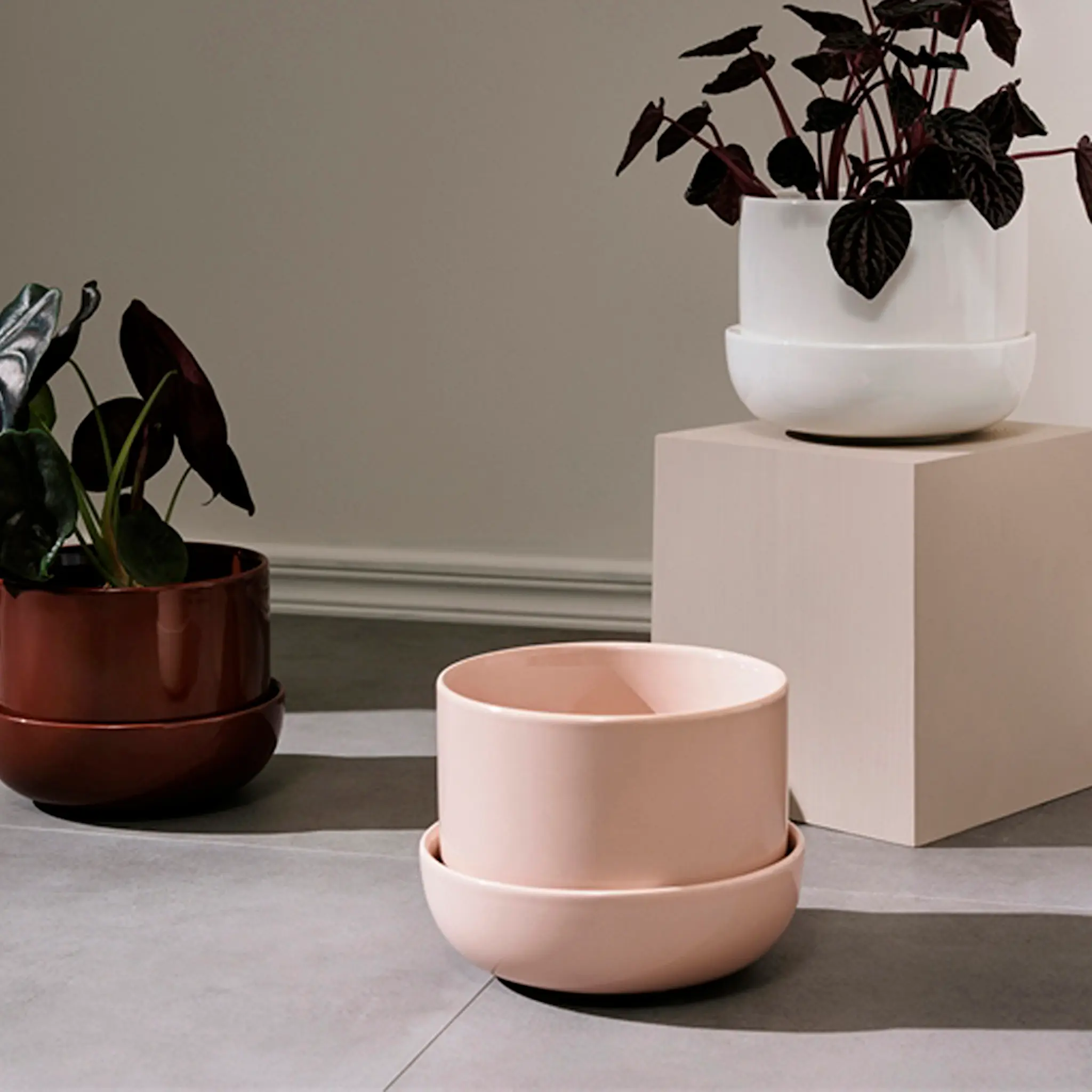 iittala Nappula Kruka med Fat 17x13 cm Beige
