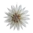 Palisia julstjärna 60 cm vit