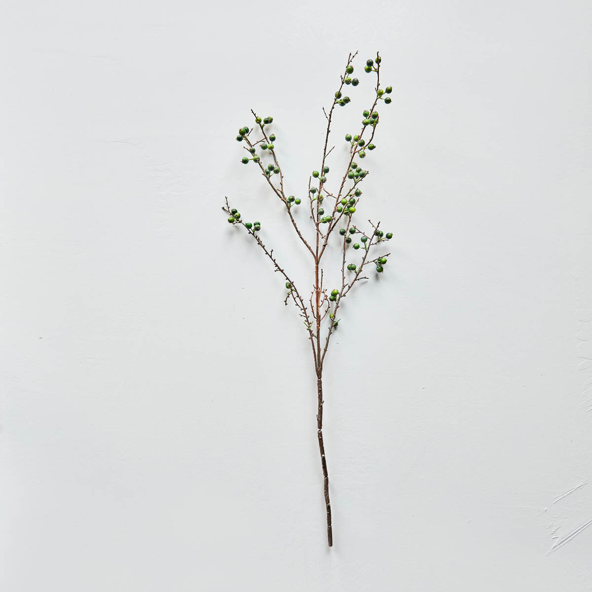 House Doctor Decor Tekokasvi 97 cm Vihreä