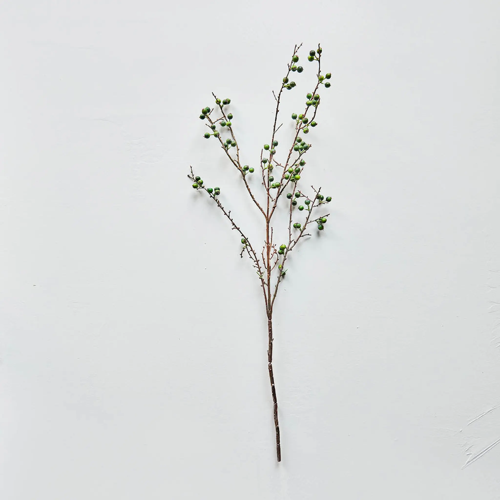 House Doctor Decor Tekokasvi 97 cm Vihreä