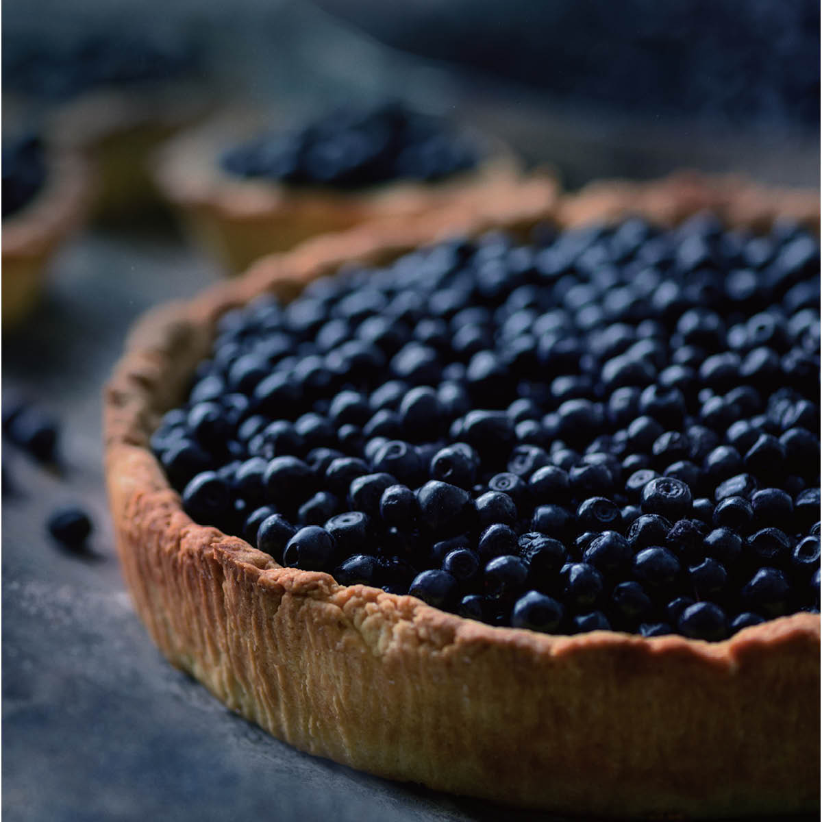 Modern House bAYk Paj Och Pizzaform 30 cm